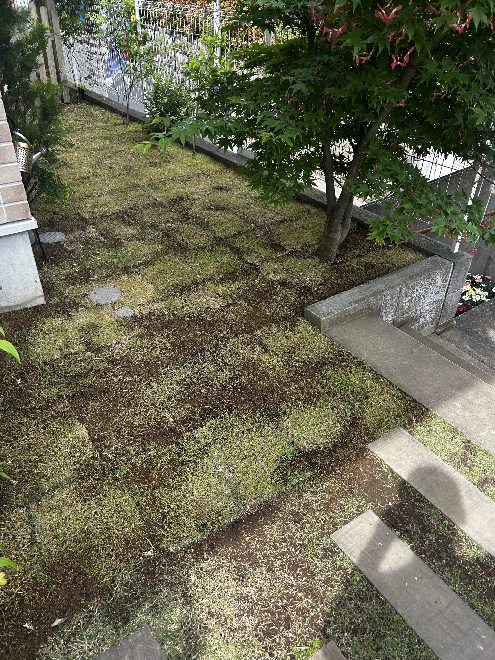 芝張り作業